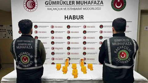 Habur'da 41 Kilo Altın Ele Geçirildi