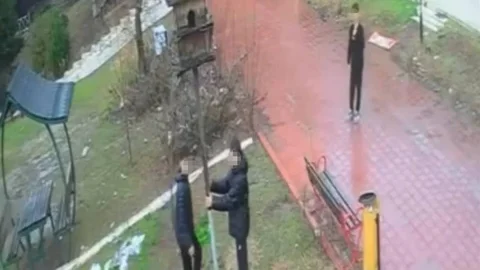 Adana'da Kuş Yuvasına Zarar Verildi