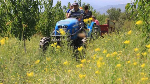 Traktör Sayısında Yeni Artışlar Yaşandı