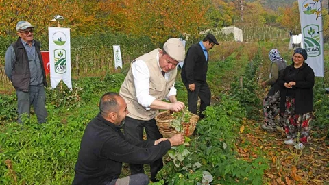 Osmangazi'de Ahududu Projesi Başladı