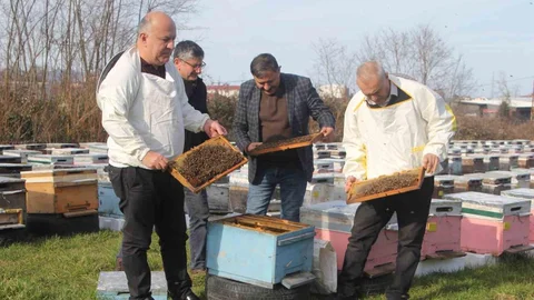 Ordu’da Arıcılar Sezon İçin Hazırlanıyor