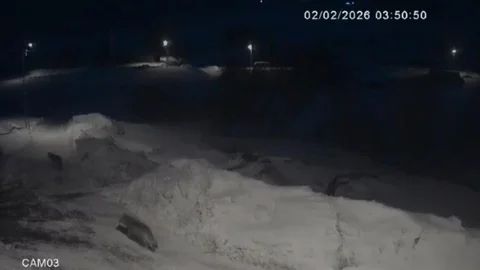 Kars'ta Kurtlar Köyde Geziyor