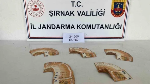 Şırnak'ta Kaçakçılıkla Mücadele Operasyonu