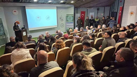 Dünyada Nesli Tehlike Altında Kuşlar Samsun'da Bulundu