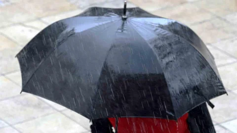 Muğla'da En Fazla Yağış Milas'a Düştü