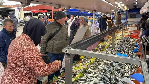 Bolu'da Hamsi Yok, Diğer Balıklar İlgi Görüyor