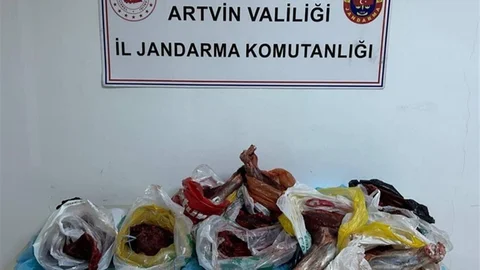 Artvin'de 60 Kilo Yaban Domuzu Eti Ele Geçirildi
