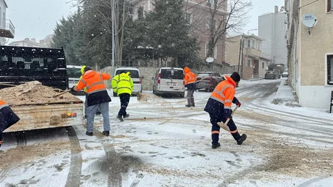 Kırklareli'nde İlaçlama ve Tuzlama Çalışmaları