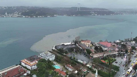 Sarıyer Baltalimanı'nda Deniz Kirliliği Tespit Edildi