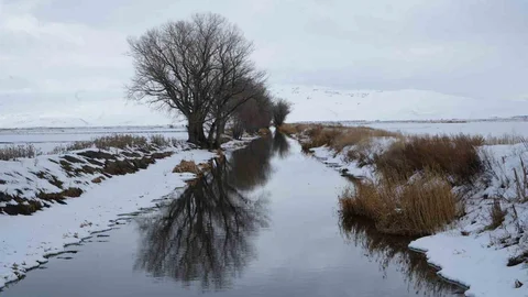Erzurum'da Kar Yağışı Etkili Oluyor