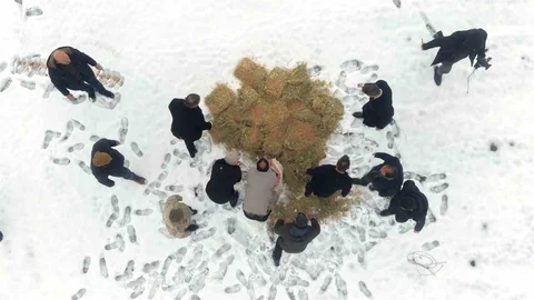 Muş'ta Yaban Hayatlar İçin Yem Bırakıldı