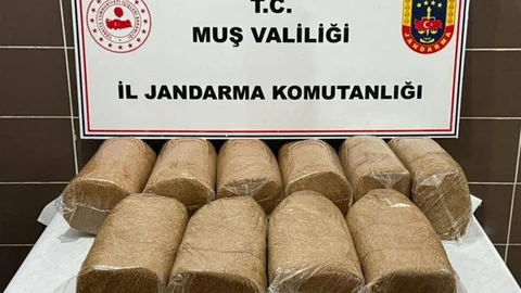 Muş'ta 50 Kilo Kaçak Tütün Ele Geçirildi