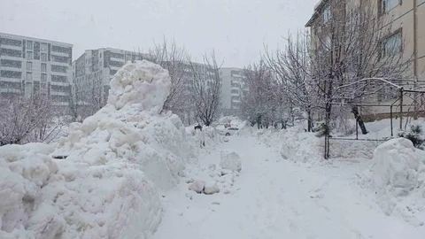 Bitlis'te Kar Yağışı Etkili Olmaya Başladı