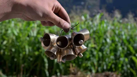 Kürtün Zili İçin Coğrafi İşaret Çalışması