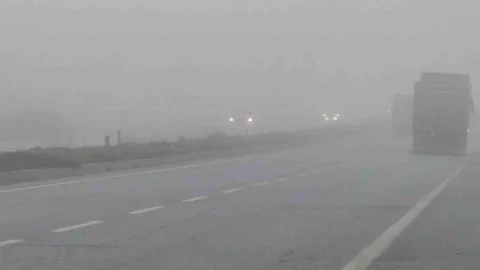 Aydın'da Yoğun Sis Sürücülere Zor Anlar Yaşatıyor