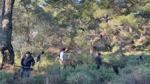 Çanakkale'de İmece Usulü Temizlik Etkinliği