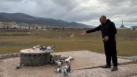 Kütahya’nın Güvercin Yetiştiricileri Emek Harcıyor