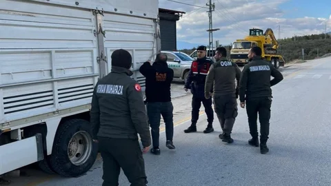 Mut'ta Orman Suçlarına Önleme Araması