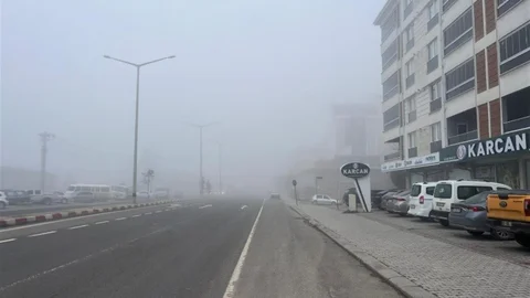Tavşanlı'da Yoğun Sis Etkili Oldu