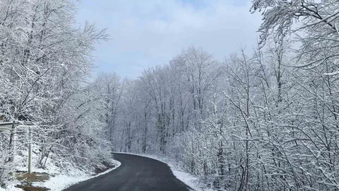 Ordu'da Kar Manzarası Görüntüleri