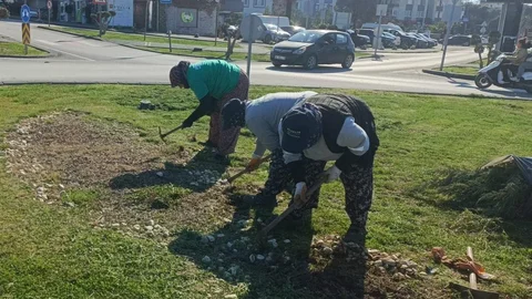 Ayvalık'ta 7/24 Yeşil Alan Bakımı
