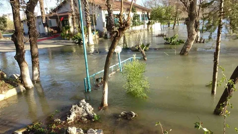 Manavgat Irmağı Taştı, İşletmeler Sular Altında Kaldı
