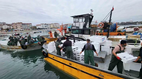Tekirdağ'da Torik Bereketi Yaşandı