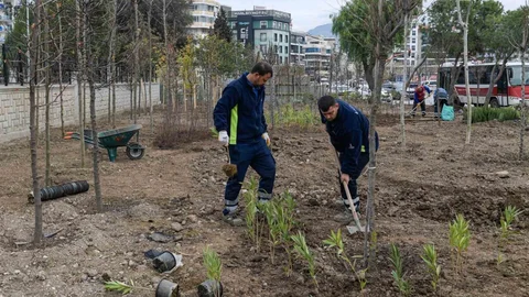 İzmir'de Mini Orman Projesi Başladı