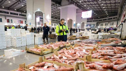 İzmir Su Ürünleri Hali'nde Rekor İşlem Hacmi