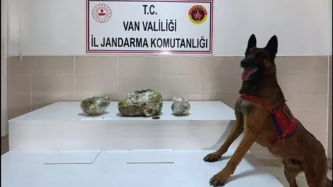 Van’da Uyuşturucu Operasyonları Başarıyla Tamamlandı
