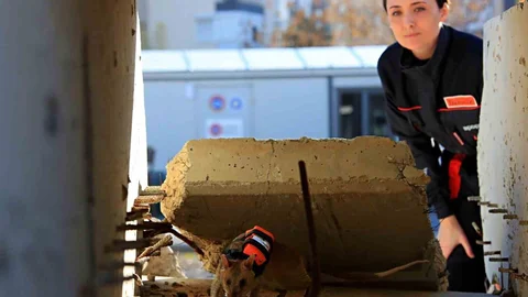 Antalya'da Kahraman Fareler Projesi