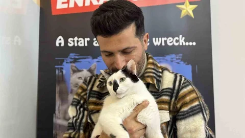 Eski İtfaiye Eri Deprem Sonrası Kedi Sahiplendi