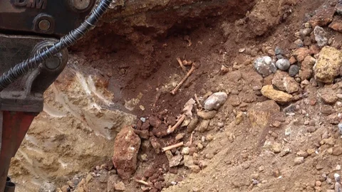 Antalya’da Kemik Parçaları Bulundu
