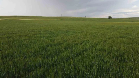 Konya'da Yağış Miktarları Arttı