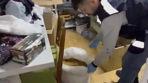 Samsun'da Kaçak Tütün Operasyonu