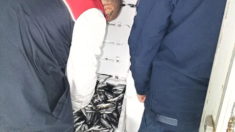 Kırklareli'nde Su Ürünleri Denetimi