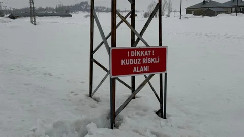 Yüksekova'da Kuduz Vakası Kontrol Altına Alındı