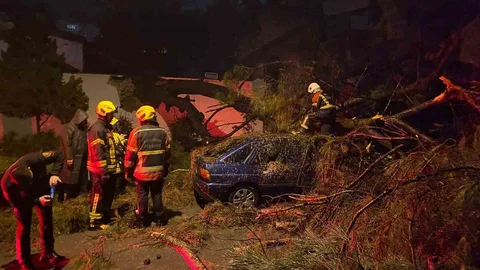 Aydın'da Ağaç Devrildi, 2 Yaralı