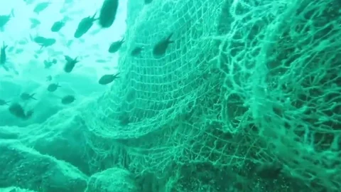 Karadeniz’in Ekosistemini Korumak İçin Hayalet Ağlar Temizlenecek