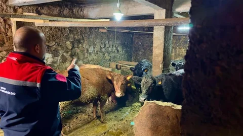 Aydıntepe’de Bereket Projesi Devam Ediyor