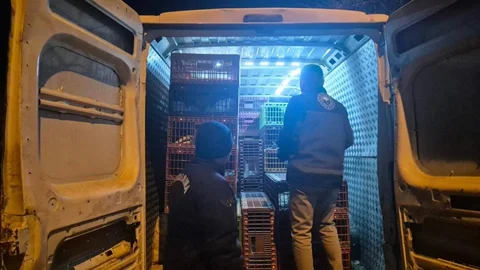 Bilecik'te Belgesiz Hayvan Sevkine Ceza Kesildi