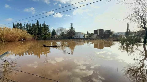 Bodrum'da Selin Zararları Gün Aydınlanınca Ortaya Çıktı