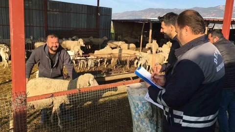 Denizli Hayvancılığında Sağlık ve Üretim Başarıları