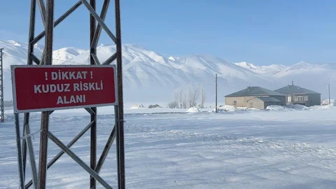 Yüksekova'da Kuduz Vakası Tespit Edildi