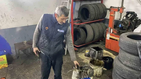 Bolu'da Oto Tamircisinin Sadık Arkadaşı: Şıkkıdı
