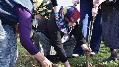 Sinop'ta Gönül Köprüsü Fidanlarla Kuruldu