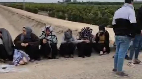 Adana'da Tarım İşçileri Yaralandı