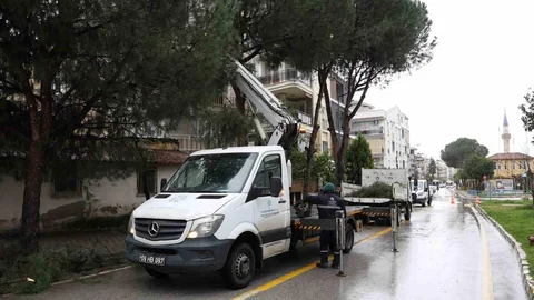 Aydın'da Yeşil Alan Bakımları Devam Ediyor