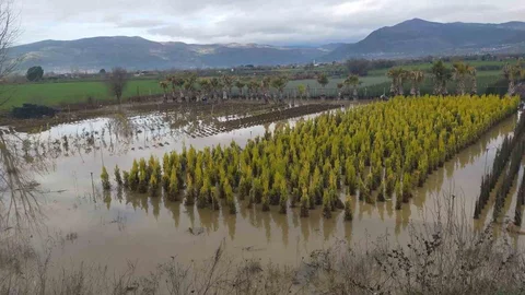 Ödemiş’te Sağanak Yağışlar Zarara Yol Açtı