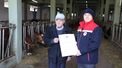 Hayvancılıkta Sertifika Yenilendi